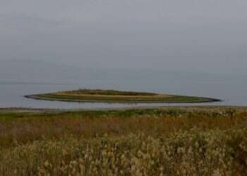 Israel explores $30 million emergency plan to fight drought