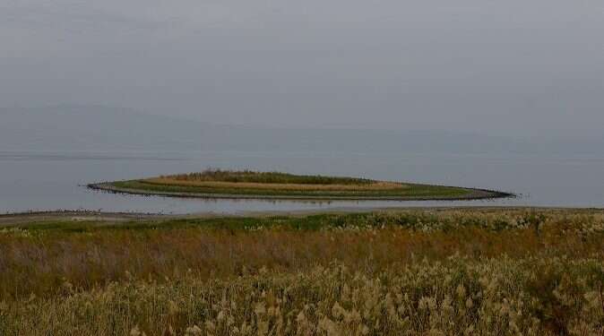 Israel explores $30 million emergency plan to fight drought
