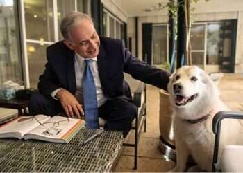Netanyahus mourn passing of Israel's 'first dog,' Kaia