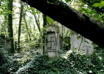 Poll: 20% of central, eastern Europeans do not accept Jews as fellow citizens