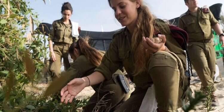 Soldiers on Israel's border with Jordan do more than defend lives
