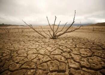 After 5 years of drought, Israel to boost desalination efforts