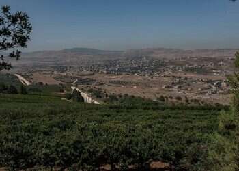 Israel briefly holds Lebanese woman who crossed border