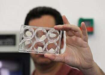 US food giant backs Israeli company that grows meat in labs