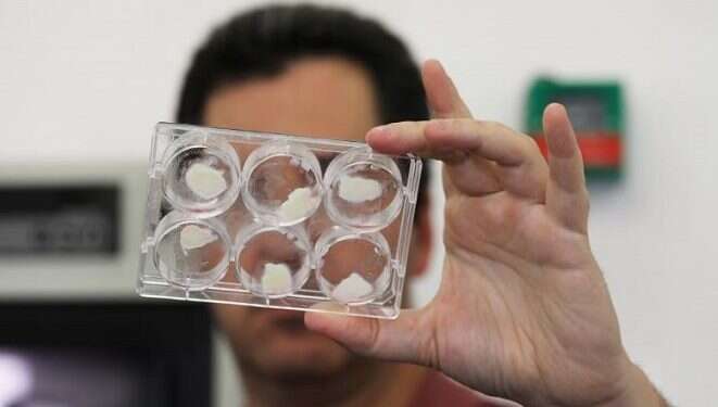 US food giant backs Israeli company that grows meat in labs