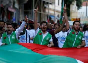 Pro-Palestinian rally in Turkey marks 8th anniversary of deadly flotilla raid