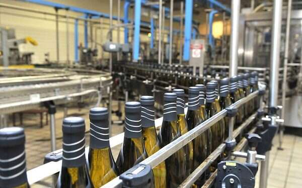 Sour grapes: Major Israeli vineyard faces backlash over discrimination allegations