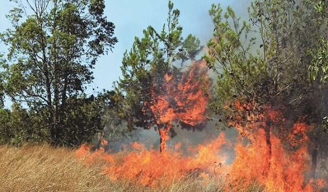 A fire rages on open land near the Gaza border Gaza terror kites spark 36 fires after Israel closes cargo crossing