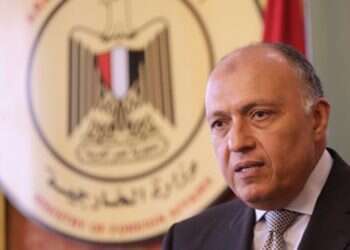 Egypt: Israel's nation-state law undermines Middle East peace efforts