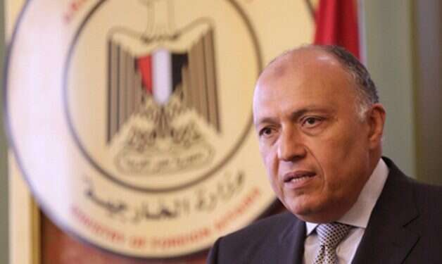 Egyptian Foreign Minister Sameh Shoukry Egypt: Israel's nation-state law undermines Middle East peace efforts
