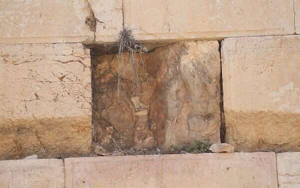 In extremely rare incident, stone dislodges from ‎Western Wall ‎