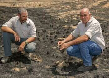Parks rangers in southern Israel watch life's work turn to ash