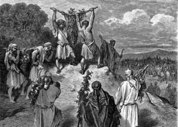 The lie behind the nation-state law backlash