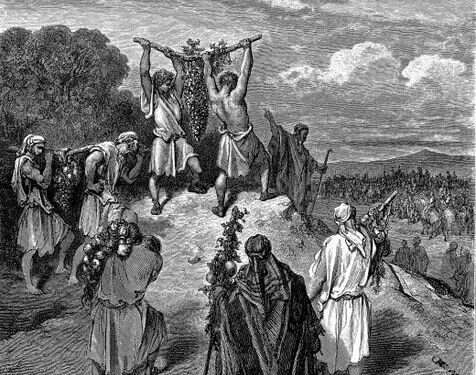 The lie behind the nation-state law backlash