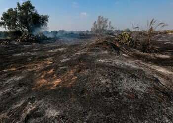 Report: Nearly 8,000 acres of land lost to Palestinian arson terrorism