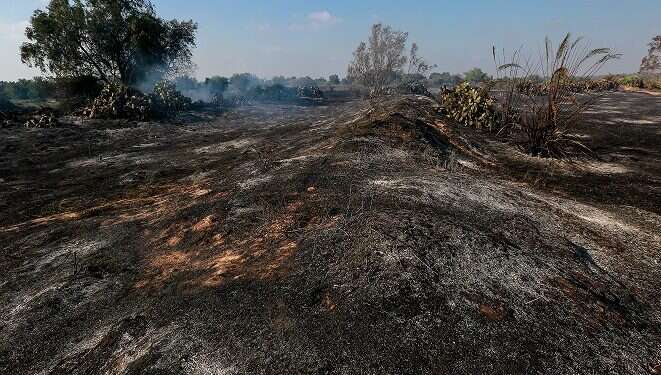 Report: Nearly 8,000 acres of land lost to Palestinian arson terrorism