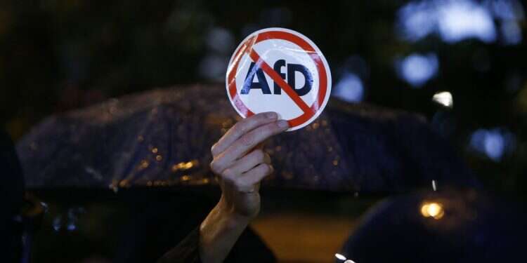 Far-right German party's plans for Jewish section criticized