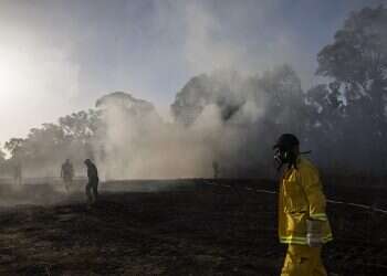 After 6 months of Hamas arson terrorism, 9,000 acres lost in Israel's south