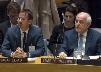 Left-wing activist urges Security Council to act against Israel