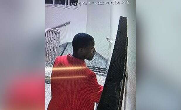 Several US synagogues vandalized after deadly Pittsburgh massacre