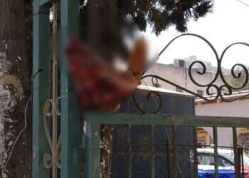 Pig's head mounted on synagogue's gate in central Israel; police investigating