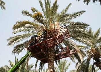 Israeli farmers take fight against BDS to consumers