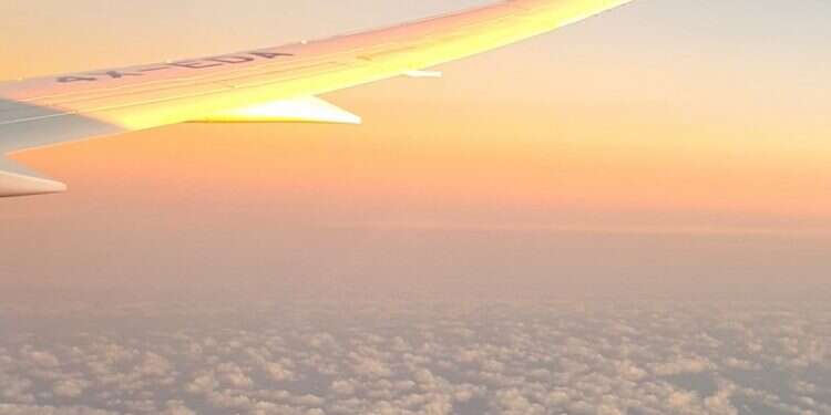 An imaginary centrist messiah