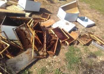 Beekeepers losing hundreds of hives to 'agricultural terror'