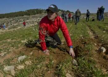 Future rabbis plant with Palestinians, sow rift with Israel