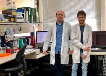 Israeli researchers develop gene-level prenatal diagnosis procedure