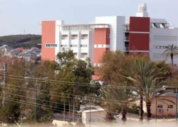 Running a science institute with no understanding of science