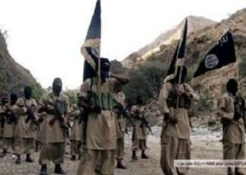 Al-Qaida commander warns Arab states over ties with Israel