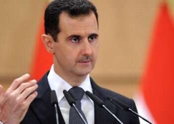There are no Iranian troops in Syria, Assad claims