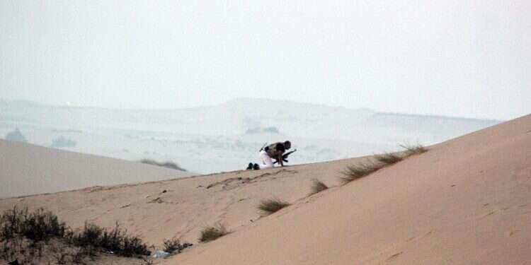 Greenblatt: Peace plan will not include land transfer from Sinai Desert