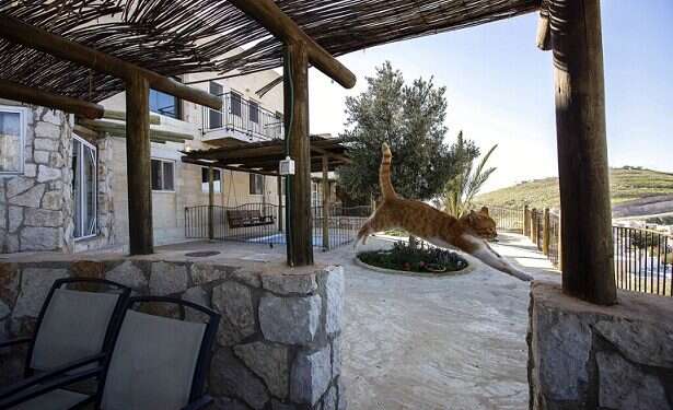 Airbnb holiday booking site rolls back ban on listings in Judea and Samaria