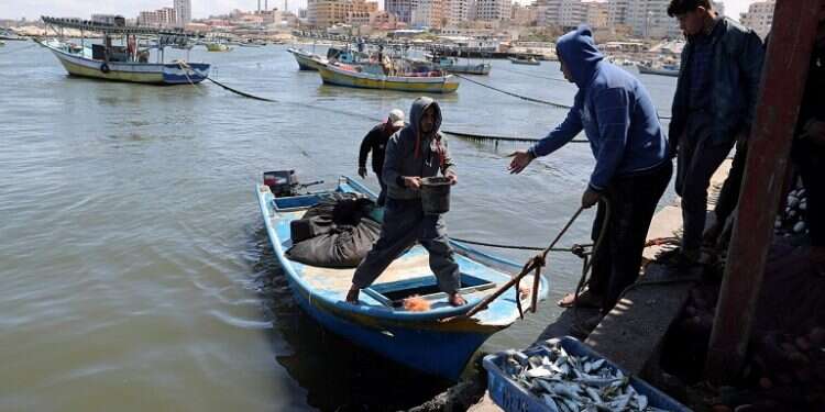 Palestinian fishermen unload their catch at the seaport of Gaza City, April 22, 2019 Israel reopens fishing zone off Gaza's coast after truce