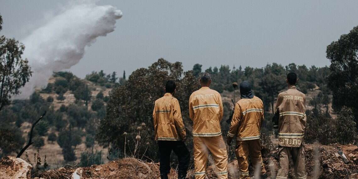 Firefighters try to extinguish a wildfire near Jerusalem Europeans and Egypt send air support as Israel battles wildfires