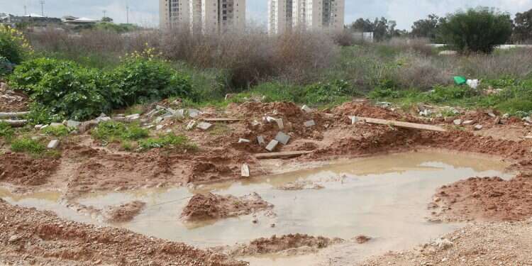 'Israel is unprepared for the 17 million people who will be living here in 2050'