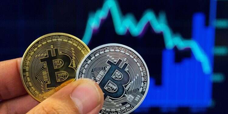 Gone phishing: Israeli brothers suspected of stealing $100M in bitcoins