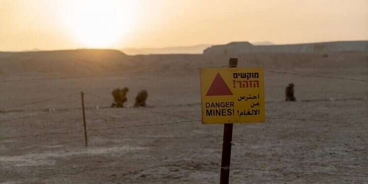 IDF working to rid Jordan Valley of landmines 
