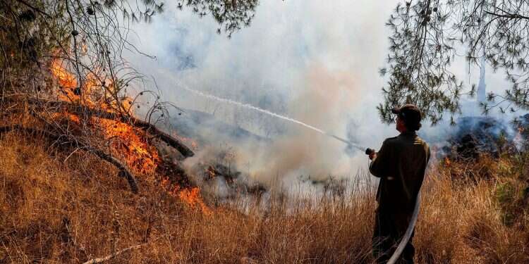 Arson balloons from Gaza cause record wildfires in southern Israel