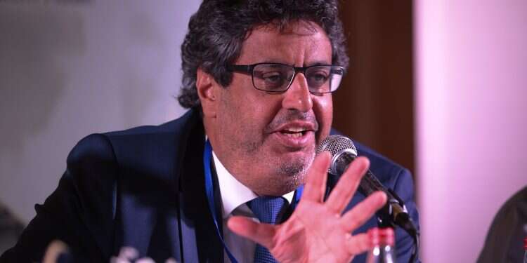 French MP slams anti-Israel colleagues in committee meeting