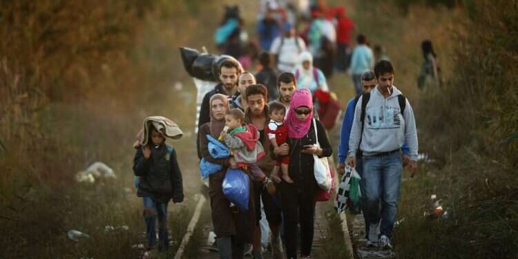 Migrants from the Middle East make their way through Serbia EU envoys seek insights from Israel on coping with migrant crisis