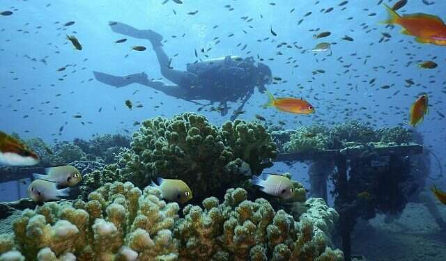 Oceanography exchange program to bring American grad students to Israel