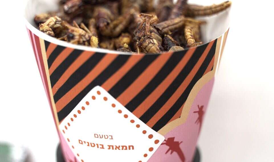 Are kosher snacks the next big delicacy?