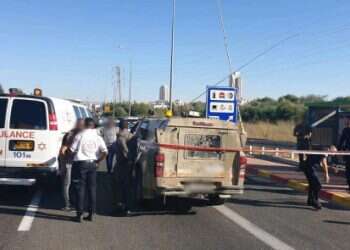Woman stabbed in suspected terrorist attack in central Israel