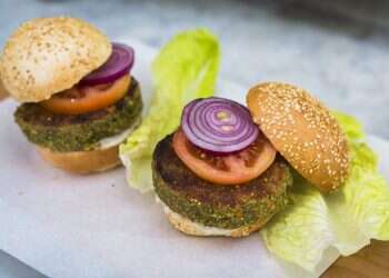 Israel Chem to invest $20M to expand in meat-alternative market