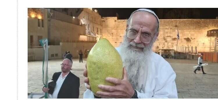 Giant mutant etrog causes wonder at Western Wall