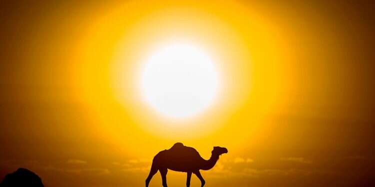 Absolute justice in the Sahara can be dangerous