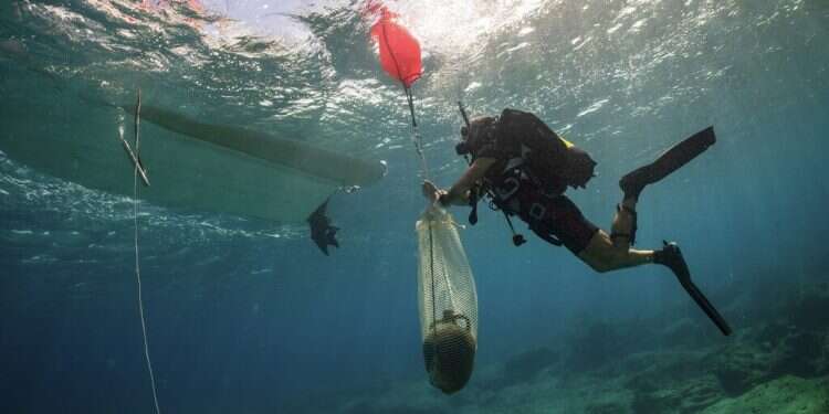 3 ancient shipwrecks discovered off Aegean island of Kasos